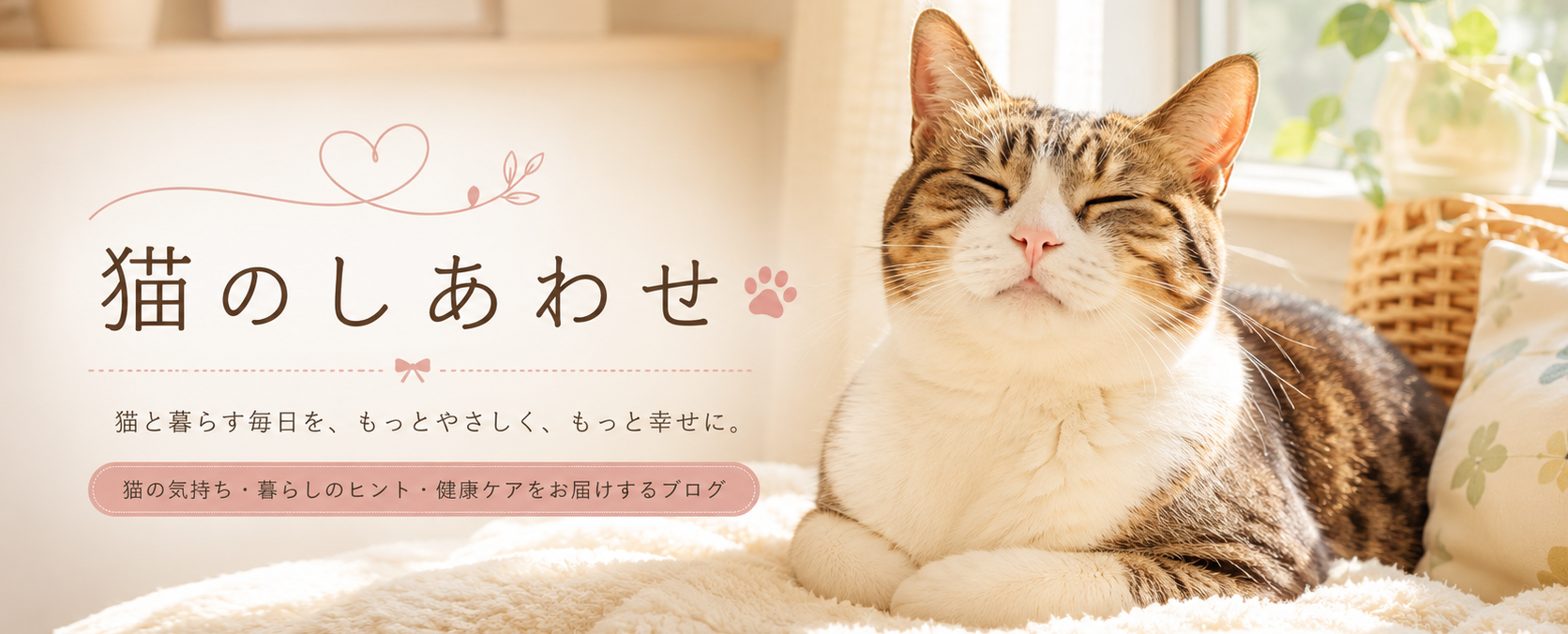 猫の幸せ